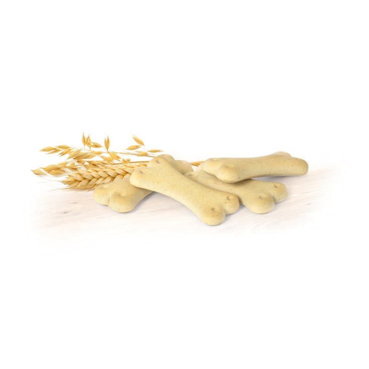 RECORD BISCODOG CLASSIC DOG BISCUITS 1