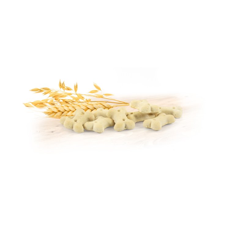 RECORD BISCODOG DOG BISCUITS MINI APPLE