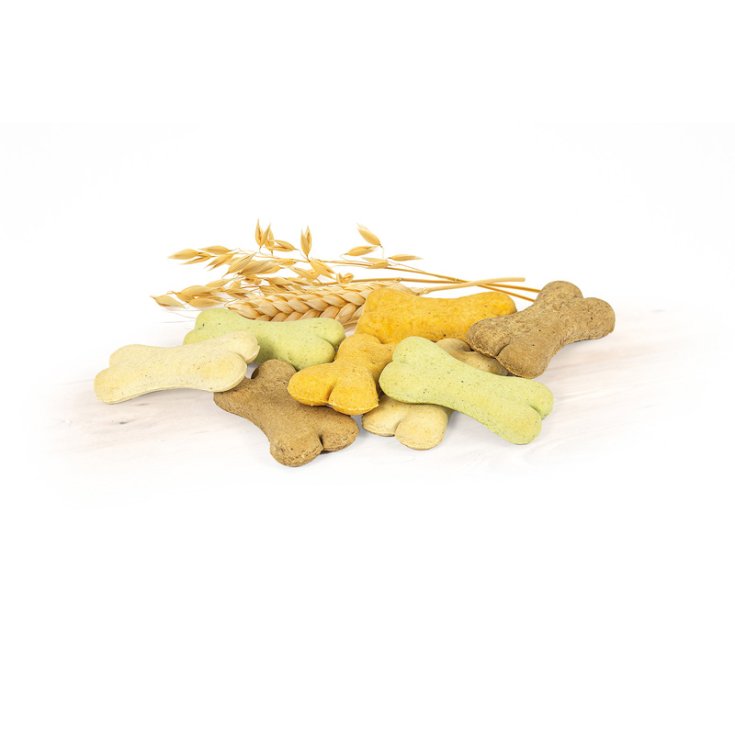 RECORD BISCODOG DOG BISCUITS MIX BABY 1