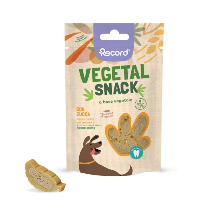 RECORD VEGETAL SNACK FOR DOGS 75 G PUMPKIN