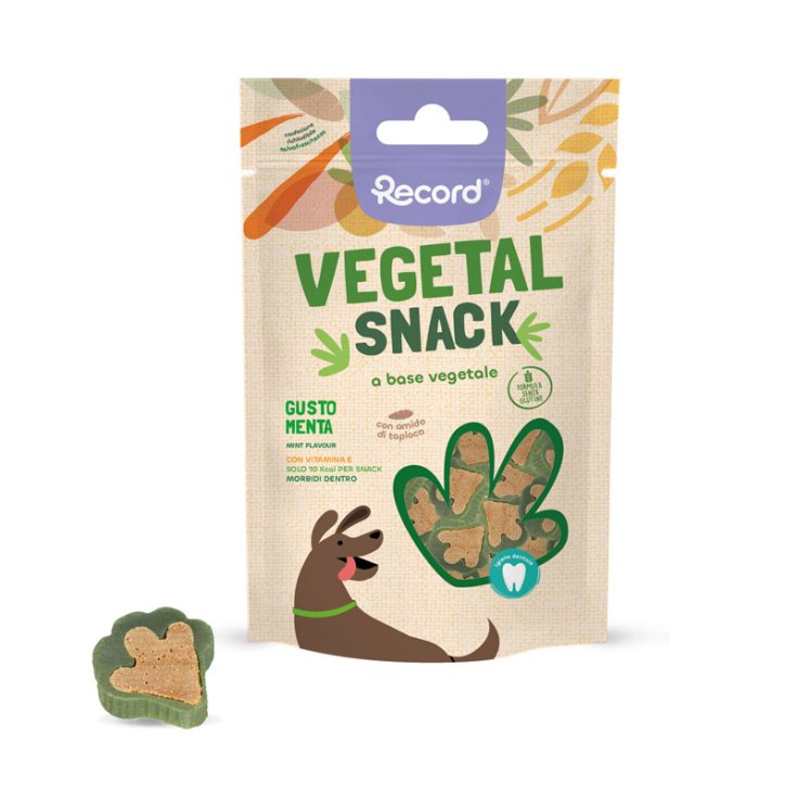 RECORD VEGETAL SNACK FOR DOGS 75 G MINT