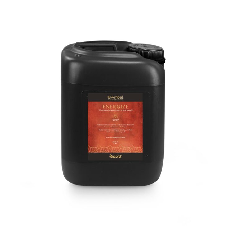 RECORD AMBEL SHAMPOO LONG COATS ENERGY