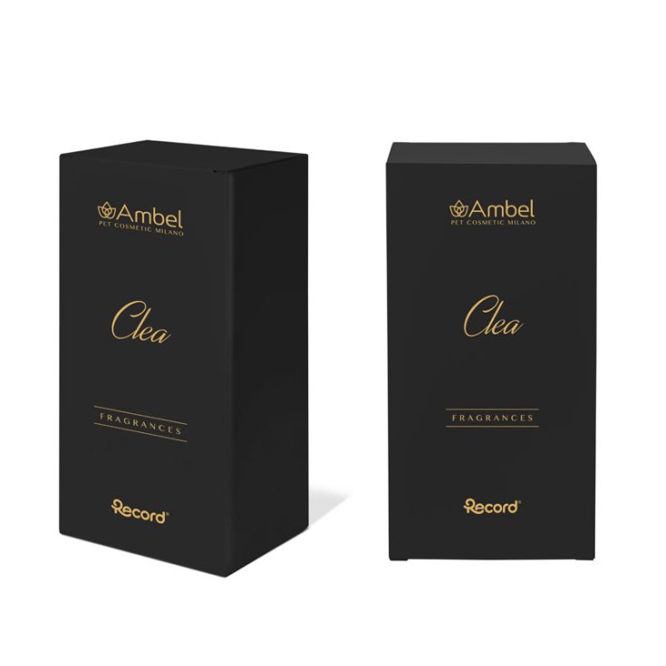 RECORD AMBEL PERFUME CLEA 0,1 L