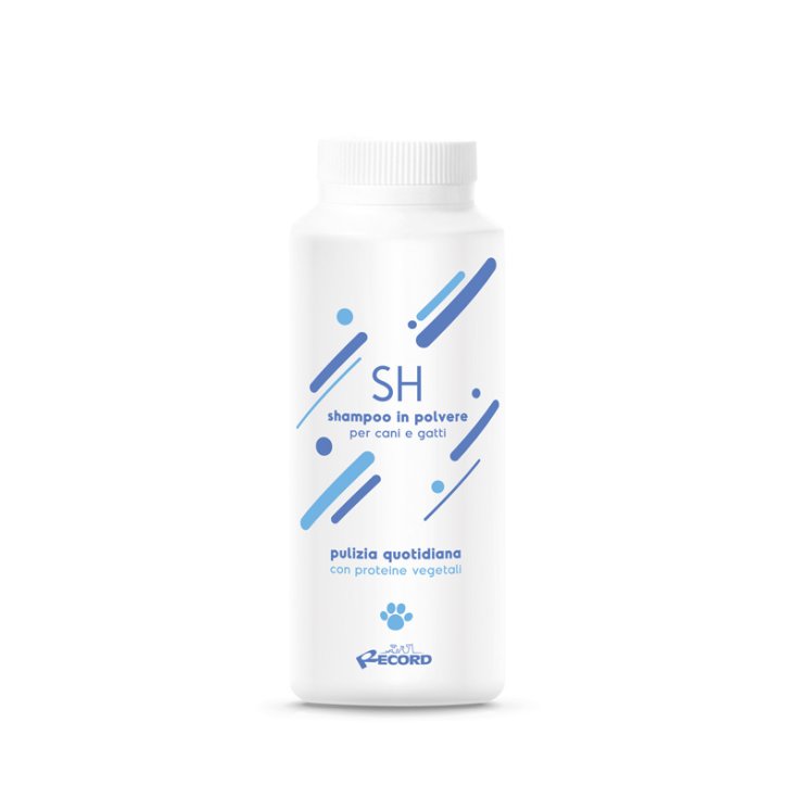 RECORD PROFESSIONAL DRY SHAMPOO IN POL