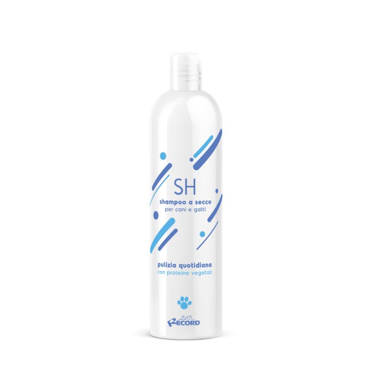 RECORD LIQUID DRY SHAMPOO