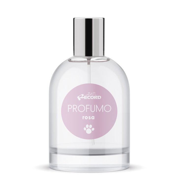 RECORD PINK PERFUME 100ML