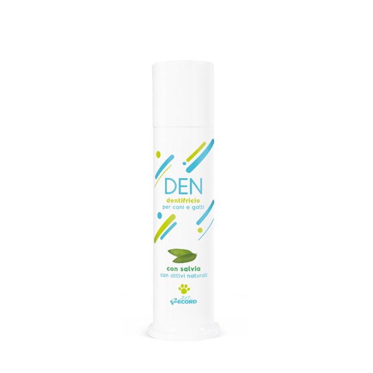 RECORD PROFESSIONAL TOOTHPASTE 0,1 L SA
