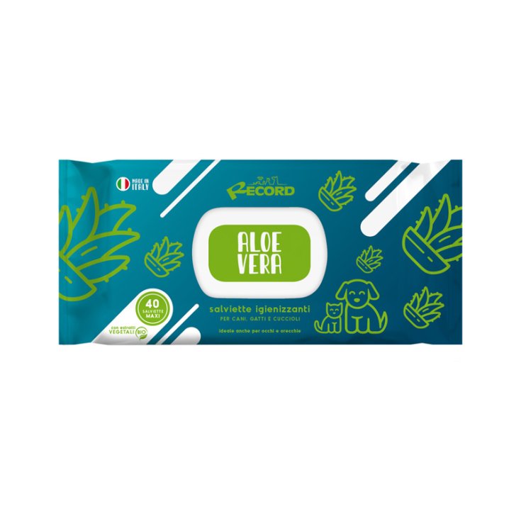 RECORD 40 SANITIZING WIPES MAXI AL