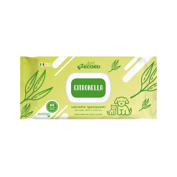 RECORD 40 SANITIZING WIPES MAXI CI