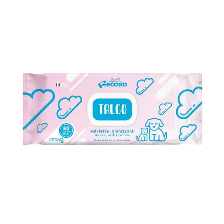RECORD 80 SANITIZING WIPES MAXI TA