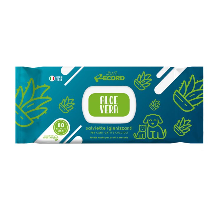 RECORD 80 SANITIZING WIPES MAXI AL