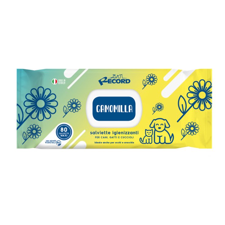 RECORD 80 SANITIZING WIPES MAXI APPROX