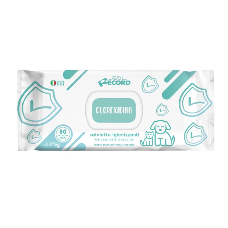 RECORD 80 SANITIZING WIPES MAXI CL