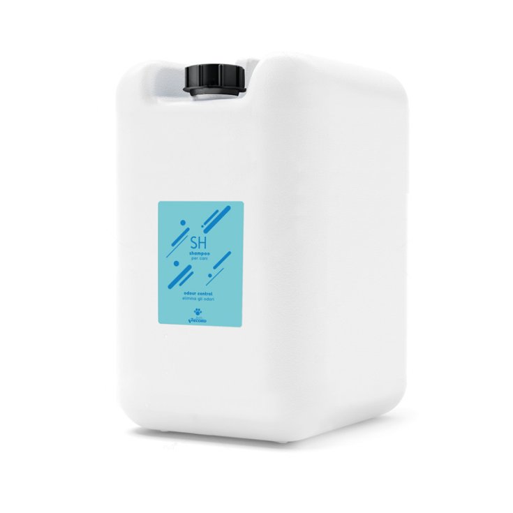 RECORD PROFESSIONAL SHAMPOO 5 L