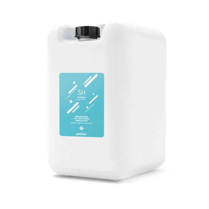 RECORD PURE SHAMPOO 0.8% CHLORHEXIDINE DIG