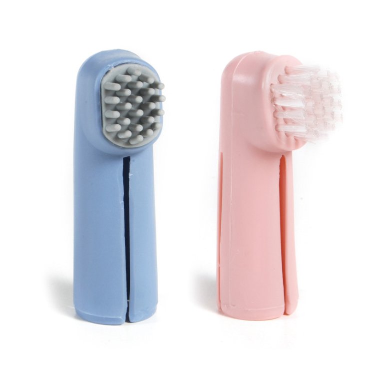 RECORD 2 TOOTHBRUSHES AND GUM
