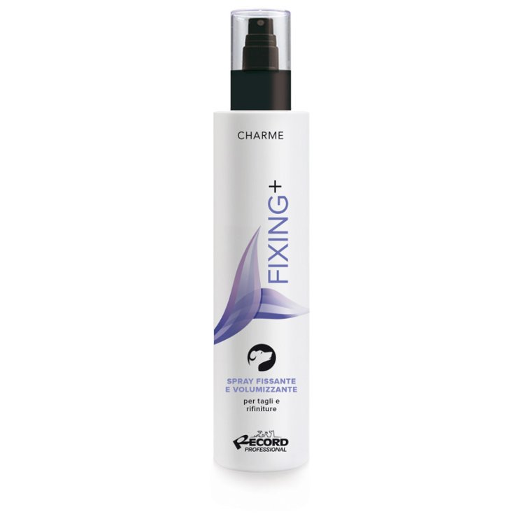 RECORD CHARME FIXING+ SPRAY HAIR LOTION