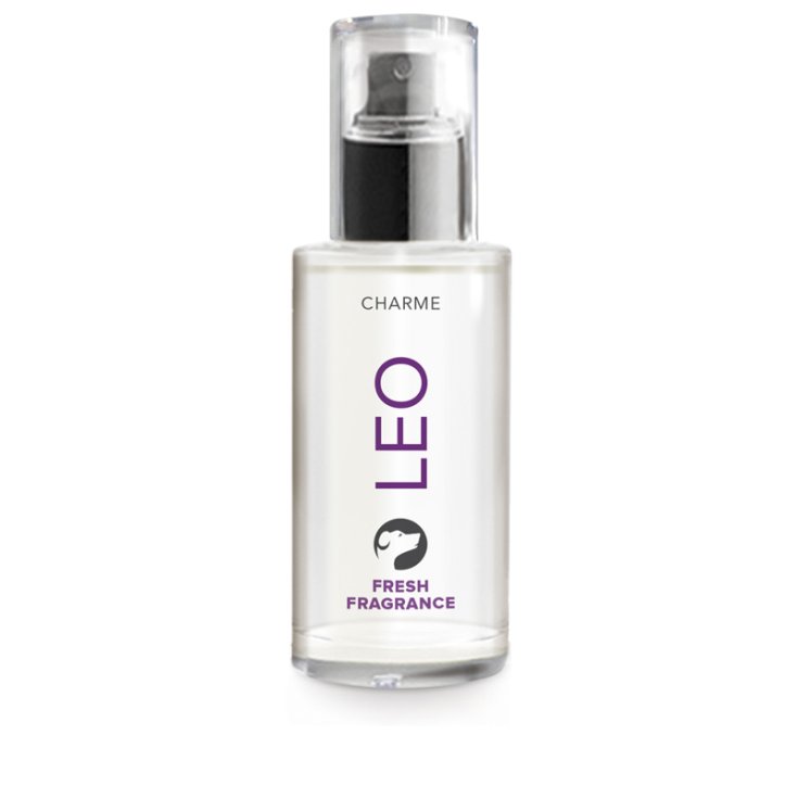 RECORD CHARME FRESH PERFUME 0,05 L LEO