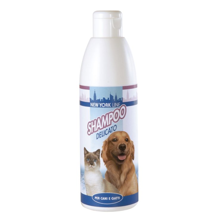 RECORD NEW YORK SHAMPOO 0,25 L DELICATE