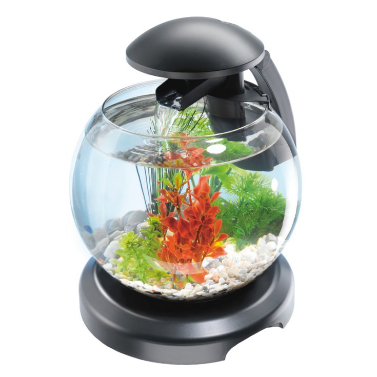 TETRA CASCADE GLOBE GLASS WITH FILTER/