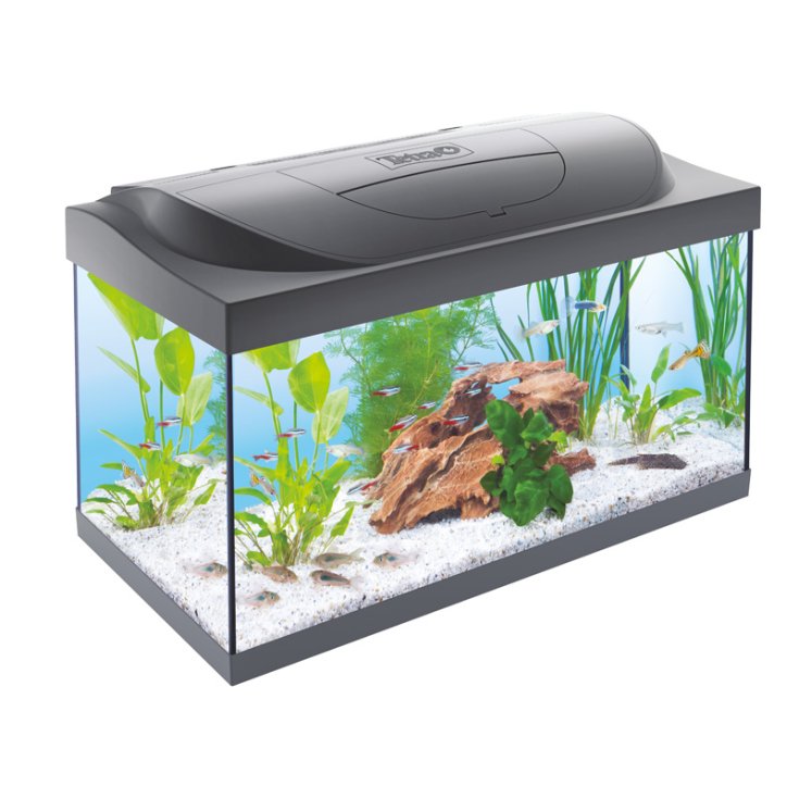 TETRA AQUARIUM STARTER BLACK 54 L