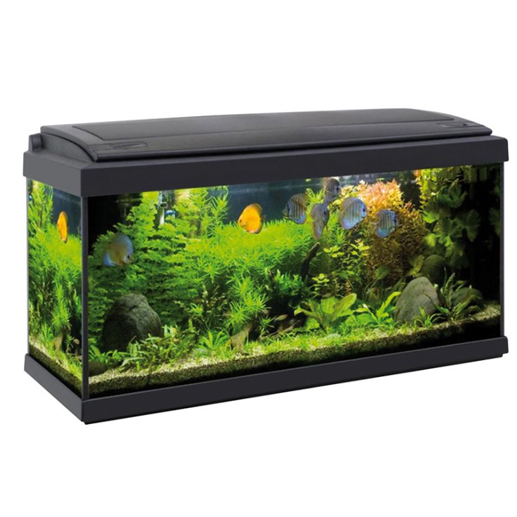 ACQUAFRIEND AQUARIUM FULLVISION LED 80X3