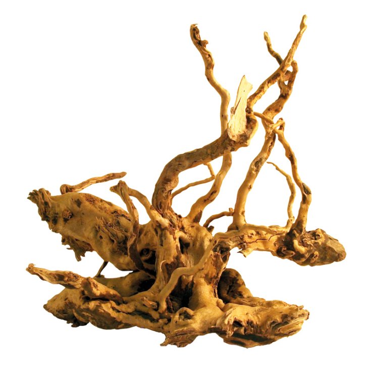 ACQUAFRIEND ROOT DESERT S 15-30 CM